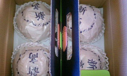 吉野のジャンボなし　装着例