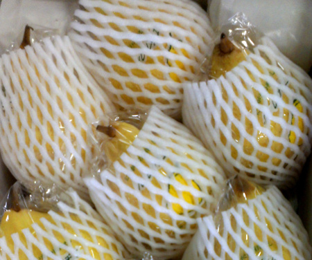 西洋なし　フルーツキャップ