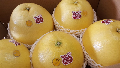 晩白柚　maboroshi-fruits