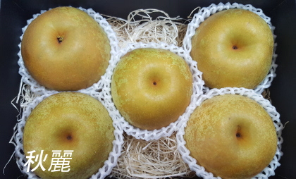 青梨　秋麗梨　フルーツキャップ